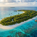 What Is Interesting About Beevitius Islands